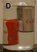 Two soda cans in a beaker of water, with one floating more than the other.