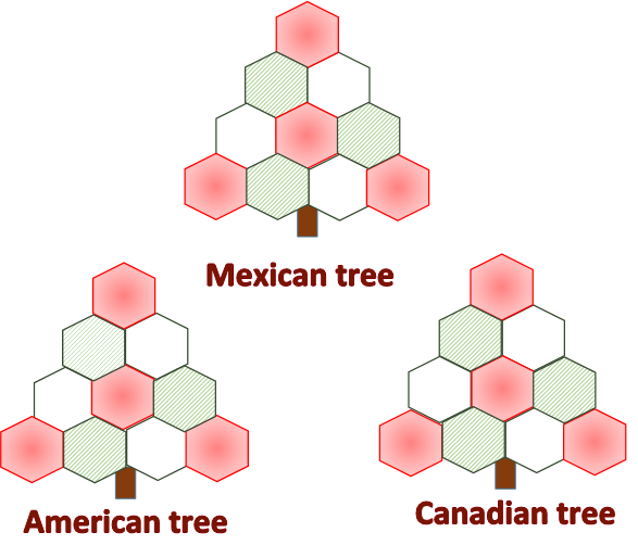 Three trees with hexagonal leaves, labelled Mexican tree, American tree and Canadian tree.