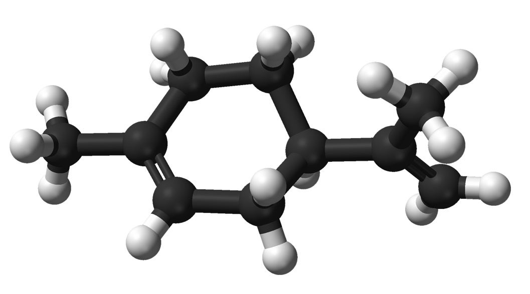 ball-and-stick model of the limonene molecule