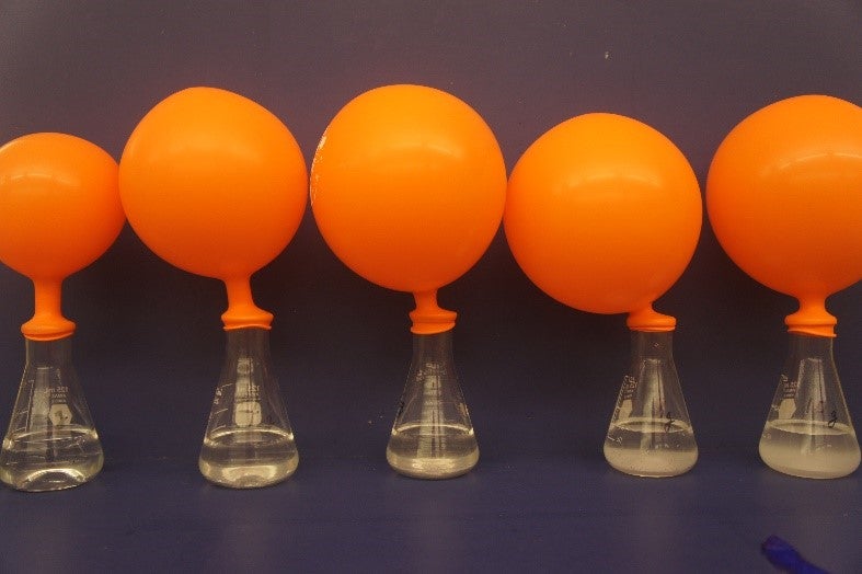 Flasks with clear liquid and inflated balloons attached to tops.