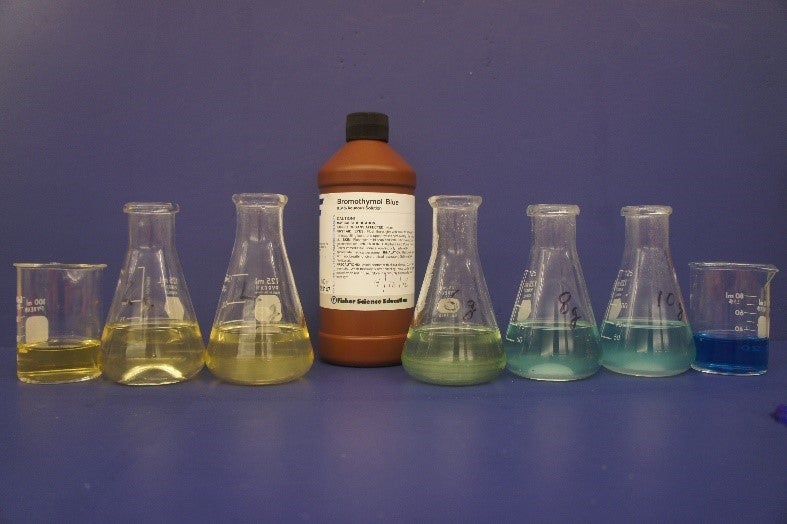 Flasks with different coloured liquids and a bottle of Bromothymol Blue.