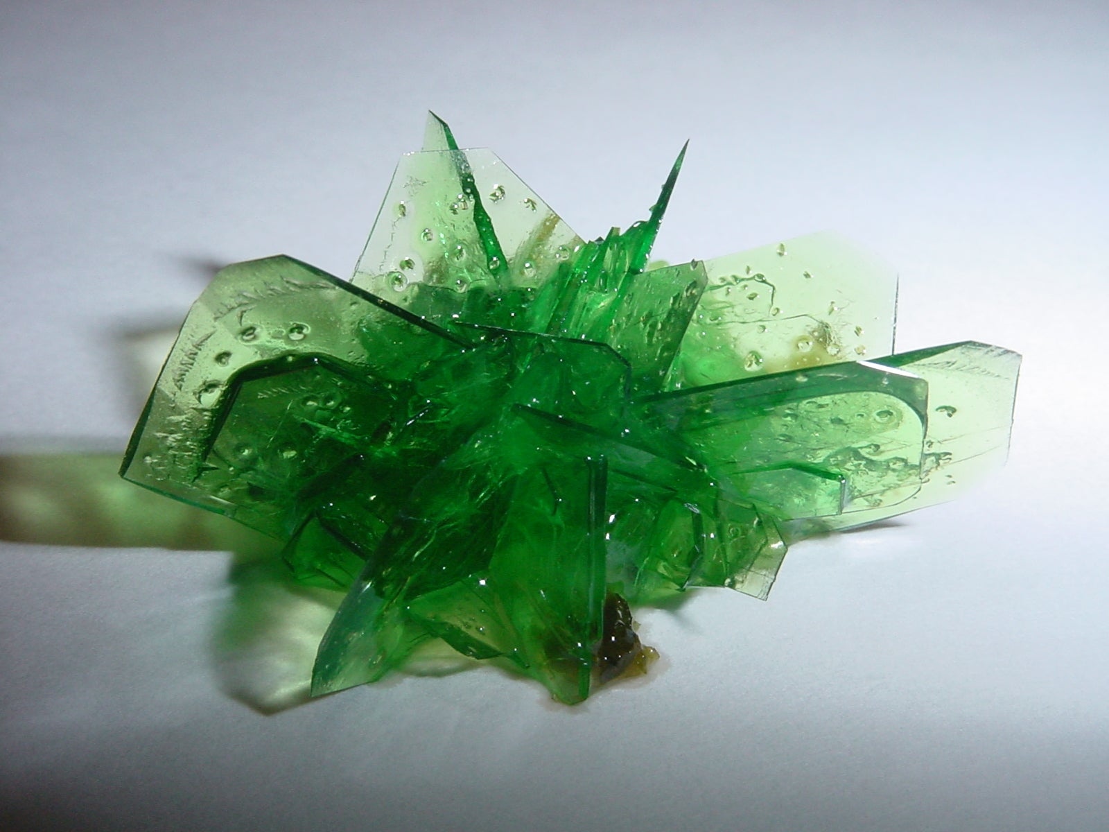 potassium trioxolatoferrate (III) trihydrate which appears as a green crystal