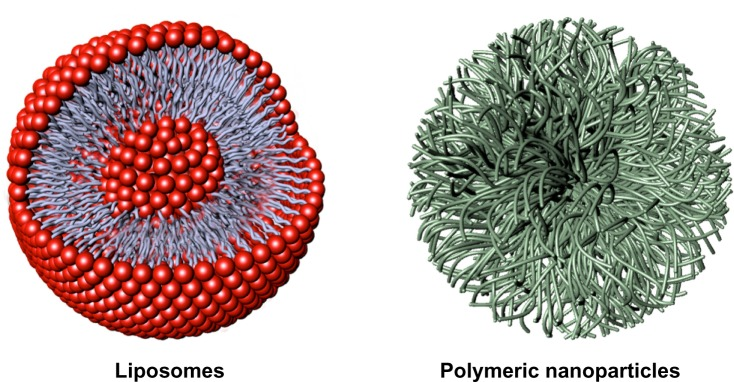 Drawing of liposome molecule in shape of a ball and polymeric nanoparticles in the shape of long strands that form a ball.