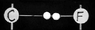Four Styrofoam balls - two larger balls, one labeled C and one labeled F. The smaller two balls are connected between C and F balls with these smaller balls being closer to the F.