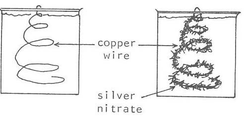 copper wire tree showing silver nitrate crystals growing on it