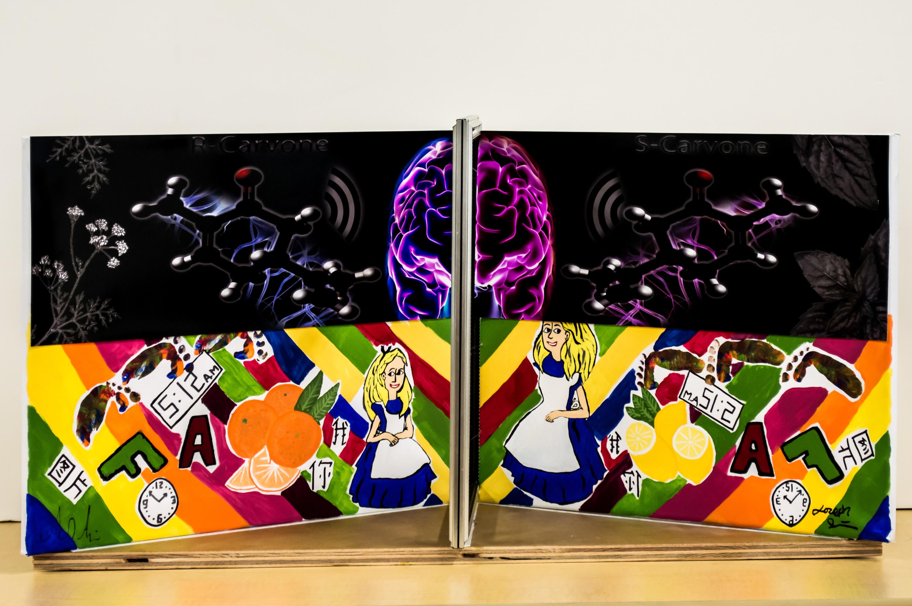 two paintings of Alice in Wonderland that are mirror reflections of each other