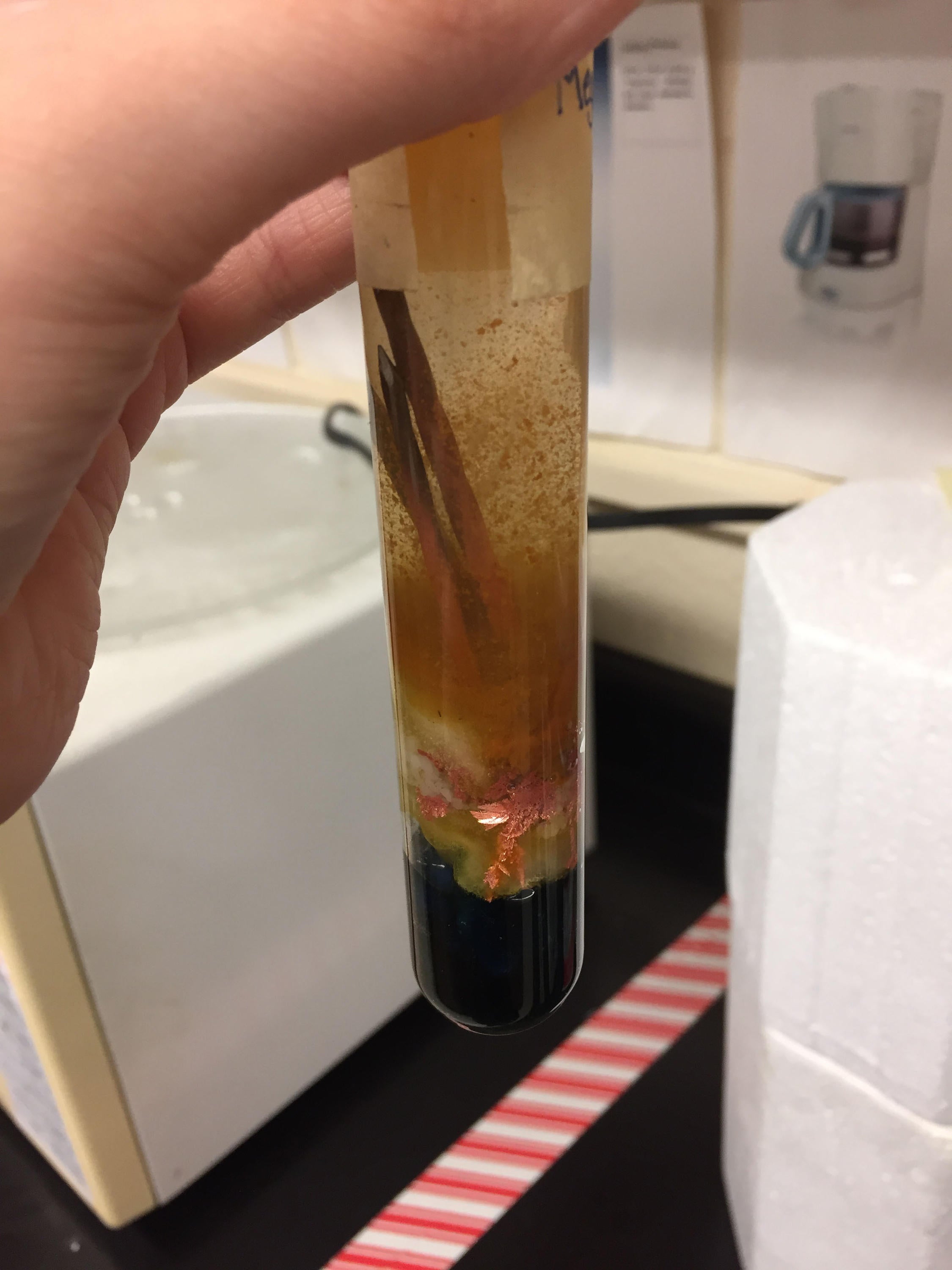 a dark green substance on the bottom of a test tube with brown cloudy solution above with two rusty looking nails 