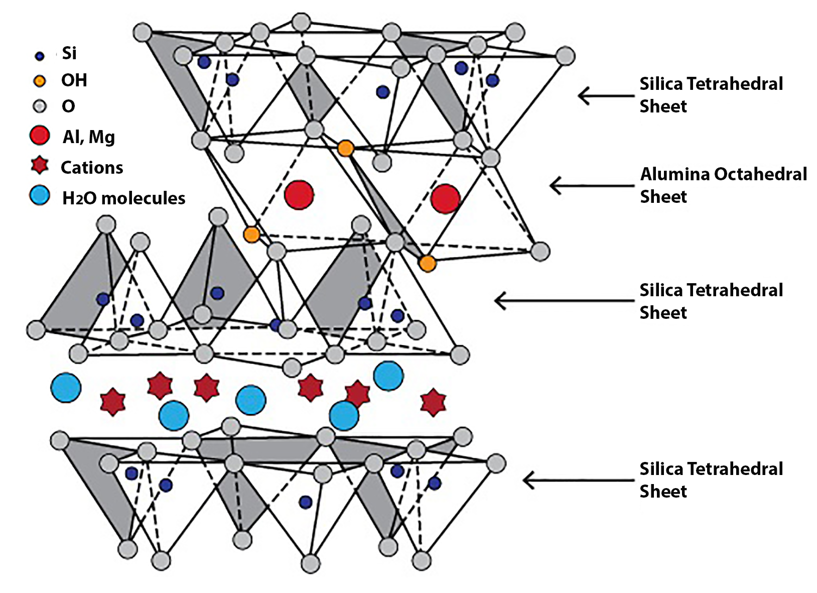 Typical structure of a clay mineral containing silicon, -OH groups, oxygen, aluminum, magnesium, cations and water molecules. The structure contains sheets of silica tetrahedrals and alumina octahedrals with cations and water molecules sandwiched in between.