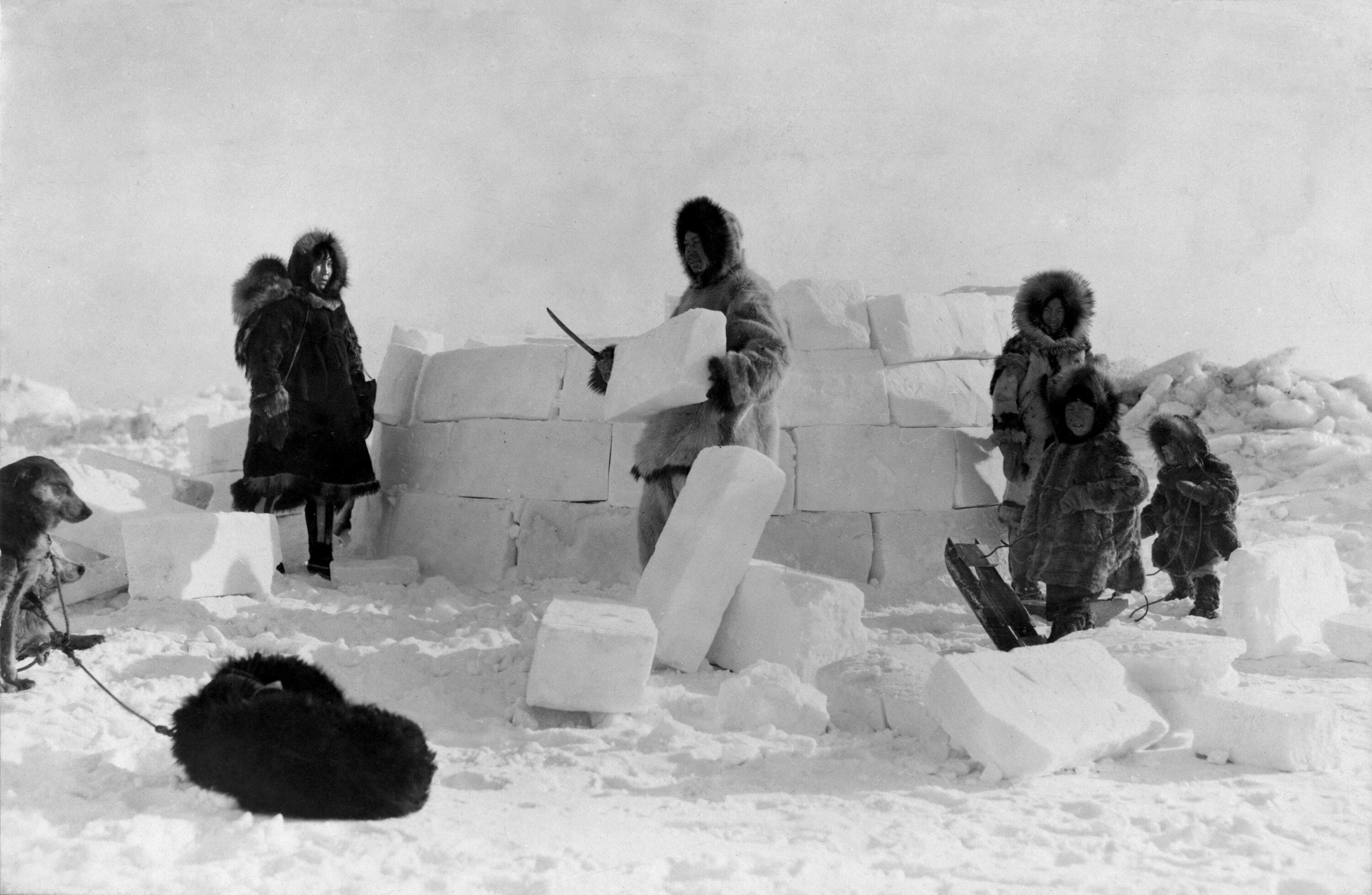 An Inuit family constructing an iglu using snow blocks, photo taken in 1924.
