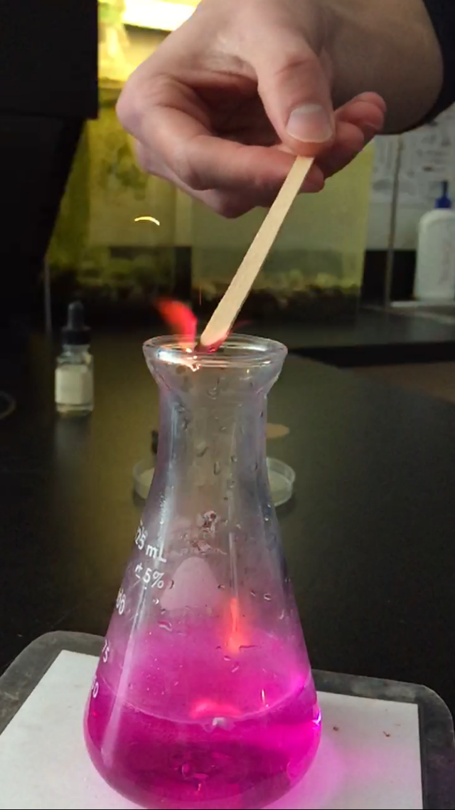 a bright pink solution in a flask with a glowing splint 