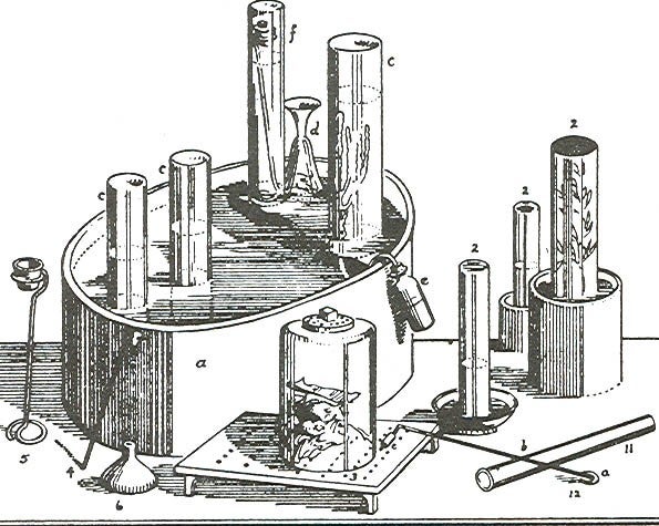 an old black white diagram from a textbook of large test tubes upside down in water with plants growing in them