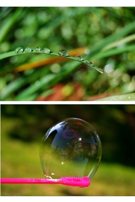 a photo of a blade of grass with droplets of water and another with a bubble on a bubble wand