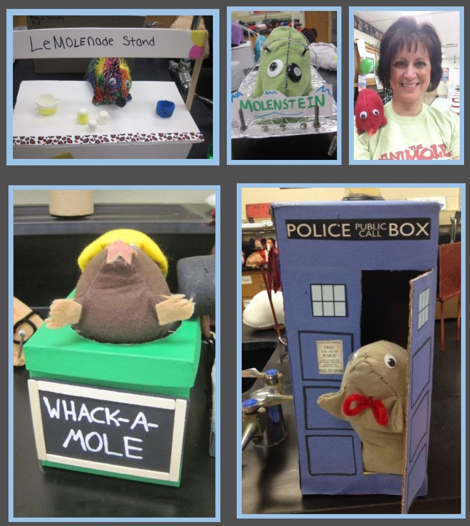 a collage of stuffed moles -- LeMOLEnode stand; MOLEstein; Sue Bober with a red mole on her shoulder; Whack-a-MOLE; and Dr. Who