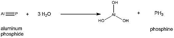 Chemical reaction of aluminum phosphide (shown with Al with a triple bond to phosphorus) reacting with water to produce aluminum hydroxide (an aluminium atom attached to three hydroxide groups ) and phophine (PH3).