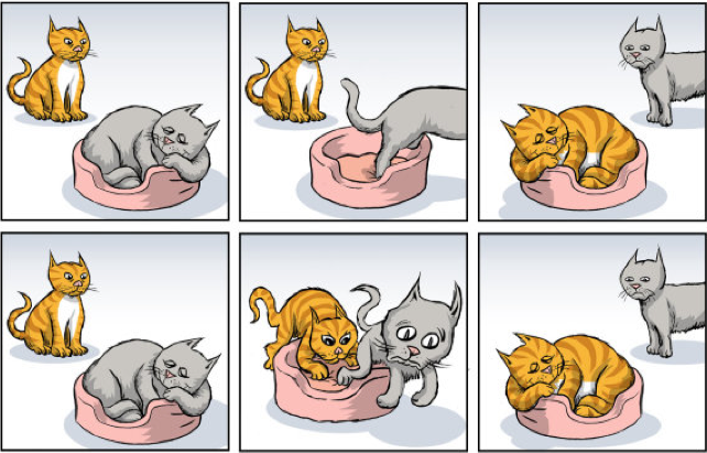 cats in a basket showing SN1 and SN2 reactions