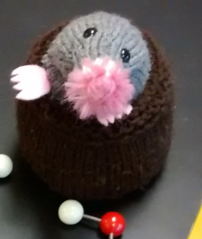 Knitted mole at the front of class