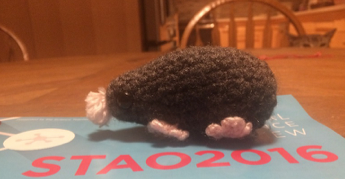  Erica gave me this little guy (pictured above) at STAO 2016. I took a photo on the STAO program — if you look carefully you can see I was being watched.  Thank you, Erica]