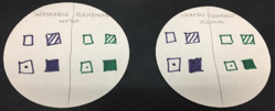 at the beginning of the experiment, circle of filter papers have squares drawn with washable ink (left) and permanent ink (right). 