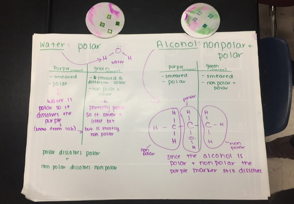 Pictured is a sample poster one of the groups of students created. The claims are given at the top based on the polarity of the ink and the water or alcohol. Students indicate their evidence and then explain their reasoning at the end.  
