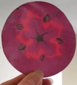 Red paper flower