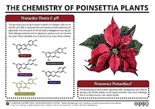 chemistry of poinsettia plants website