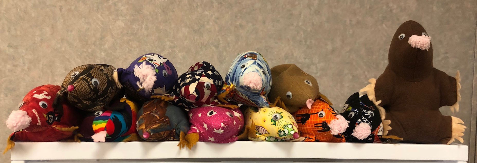 a photo of 13 stuffed moles of different patterns all on a shelf
