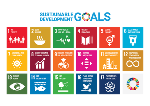 Colourful Sustianable Development Goals emblem