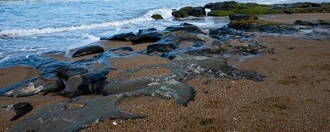 sand and rocks on a beach covered with oil