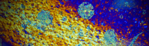 purple yellow and blue pattern