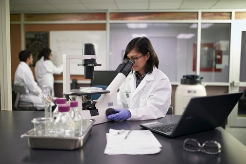 Researcher studying a sample under a microscope.
