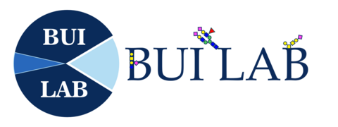 Bui Lab with logo