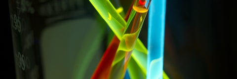 Test tubes filled with coloured substances.