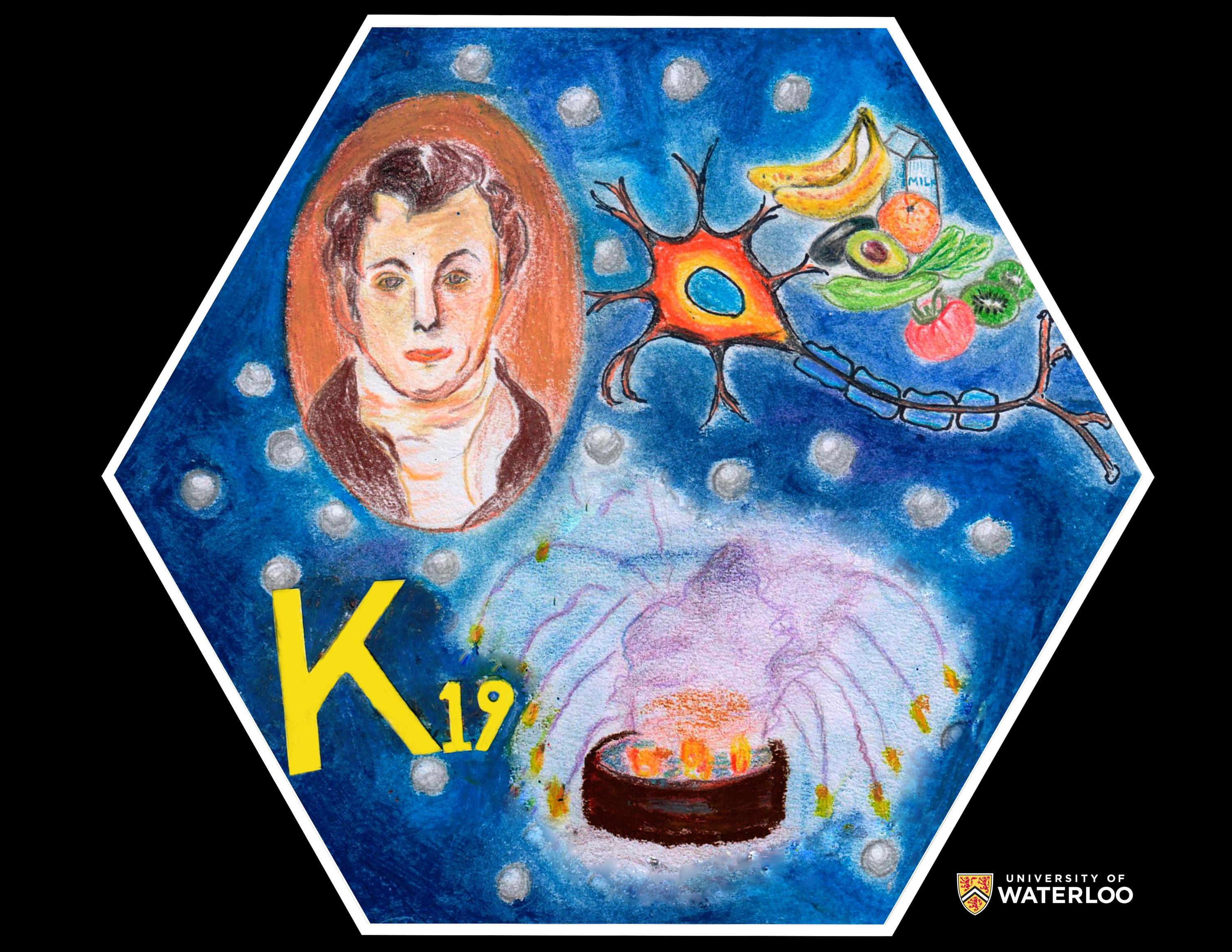 Charcoal on paper. Portrait of Sir Humphry Davy appears top left. Chemical symbol “K” and atomic number “19” below. Right are foods containing potassium, including fruits, vegetables, milk plus a nerve cell. Bottom is the original experiment between potassium and water. 19 silver balls dot the bright blue background.