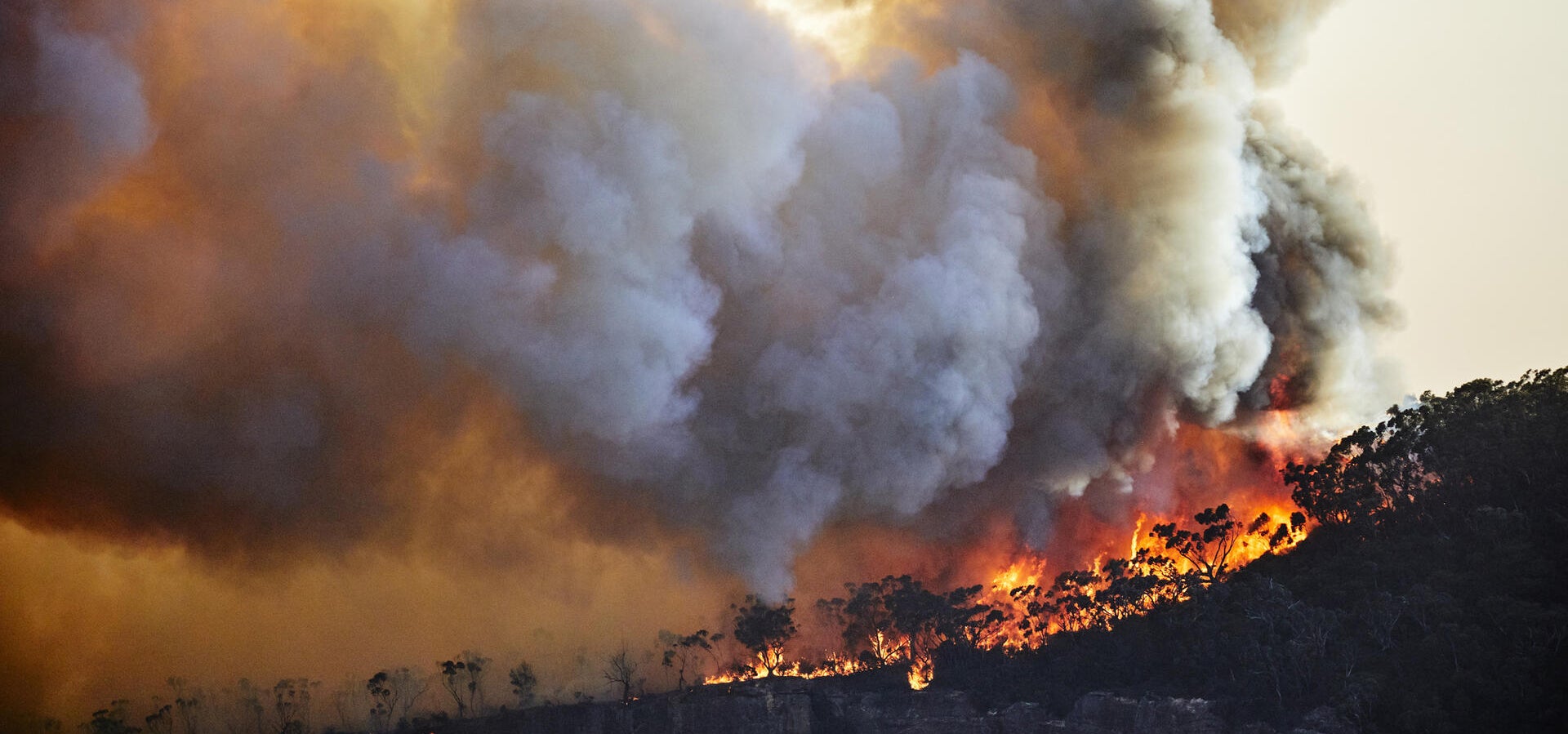 A forest fire burning and producing smoke.