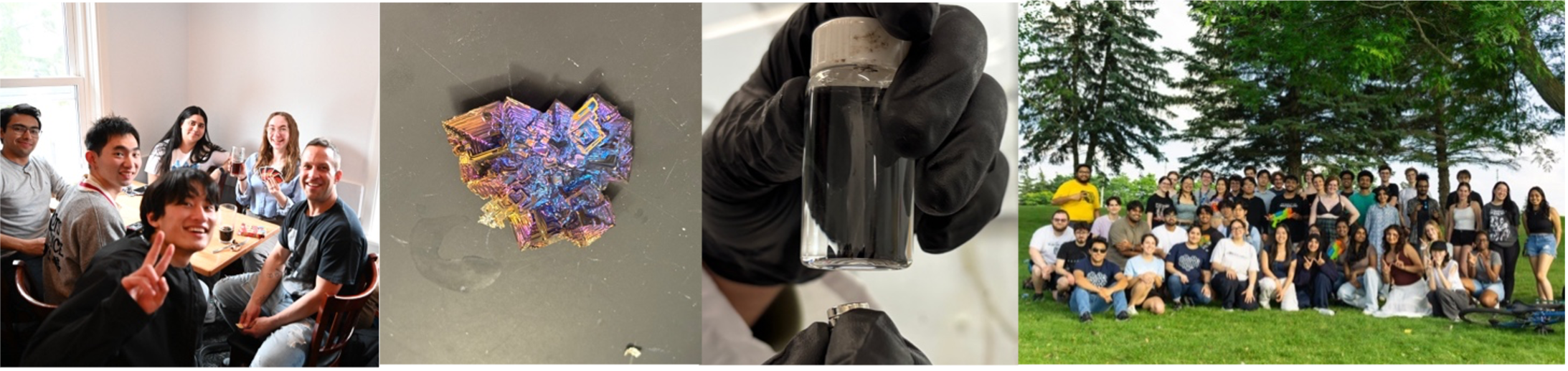 Compilation photo of MNS events throughout the year: Get togethers, two material samples, and a group shot at a conference.