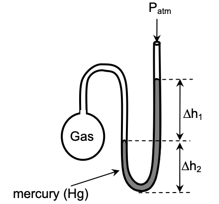 A bulb labeled "Gas" is connected to one arm of a U-shaped tube containing mercury (Hg). The other arm of the tube is open to the atmosphere, where atmospheric pressure Patm is acting. Δh1delta h sub 1Δℎ1 represents the height difference between the top of the mercury column in the open arm and the level in the gas arm. \(\Delta h_{2}\) represents the height of the mercury column above the lowest point in the tube.