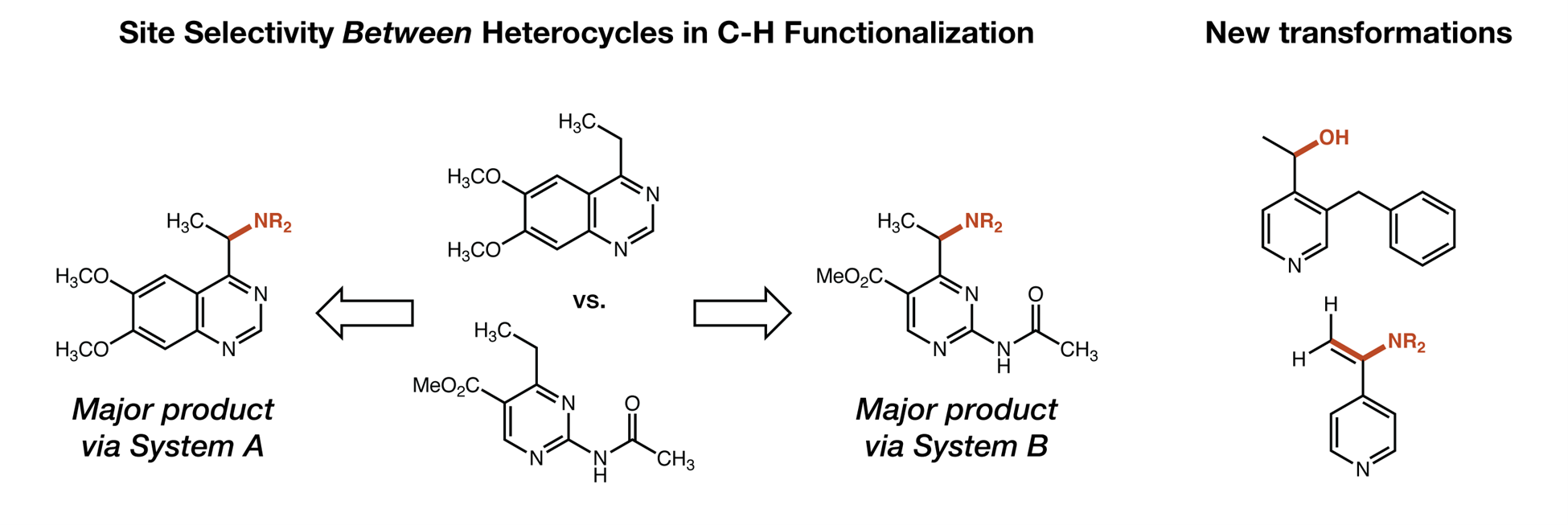 Site-Selective C-H Functionalization in Heterocycles