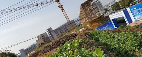 Urban farm near a construction site.