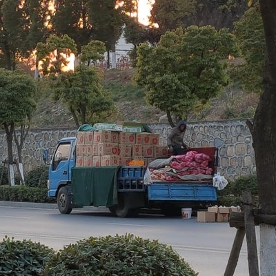 Vendors selling other vegetables in parked trucks
