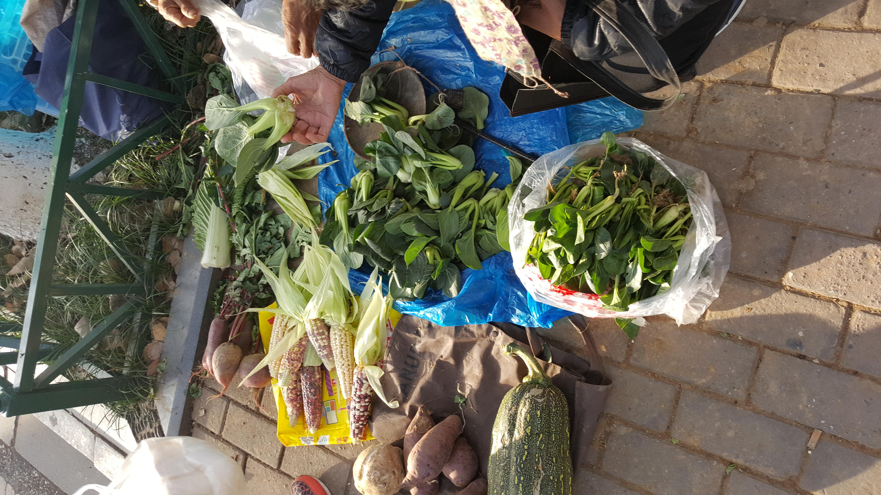 Vegetables sold on the street