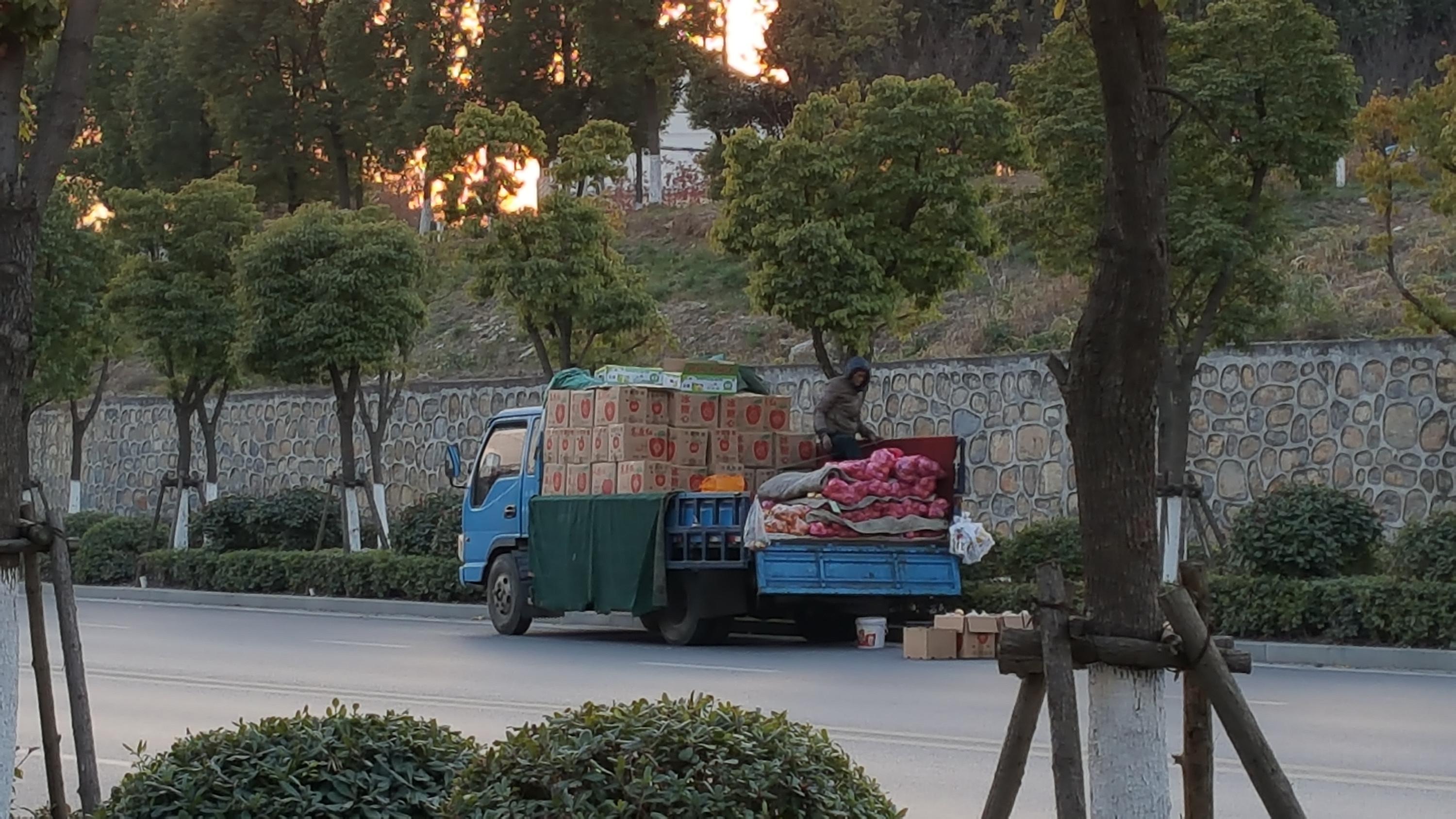 Vendors selling other vegetables in parked trucks