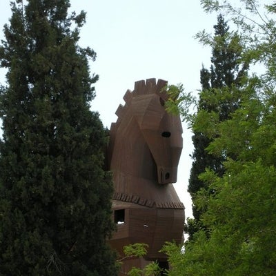 20. A Trojan Horse