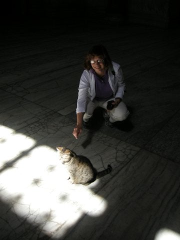 1. Maria Liston and local cat, Hagia Sophia, Istanbul