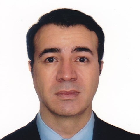 Ali Elkamel