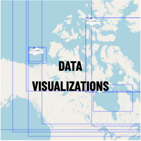 Data Visualizations graphic