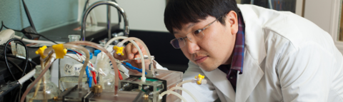 Hyung Sool Lee looking at his research. 