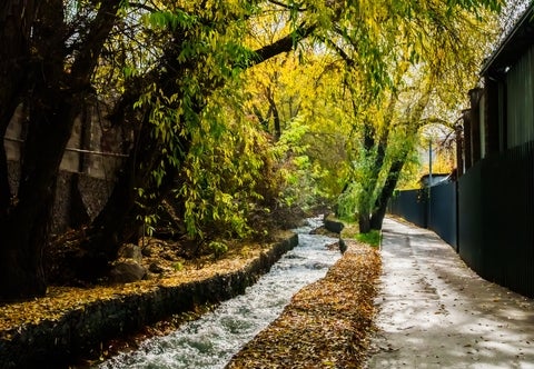 Pathway alongside a flowing stream bordered by vibrant trees and a concrete walkway.