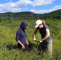 Strack and researcher coring in wetland
