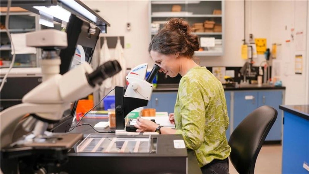 Julie Messier looking into a microscope in a biology lab at the University of Waterloo.