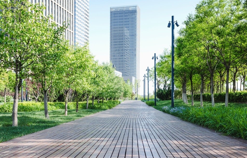 Boardwalk lined with trees